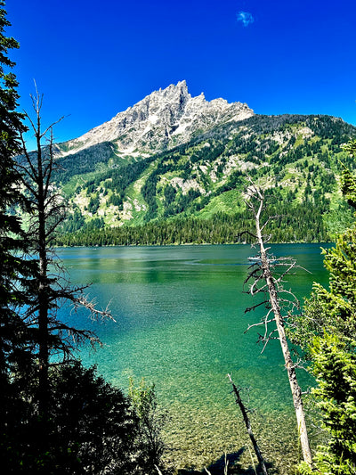 Beyond My Limits: Conquering Anxiety in Grand Teton National Park