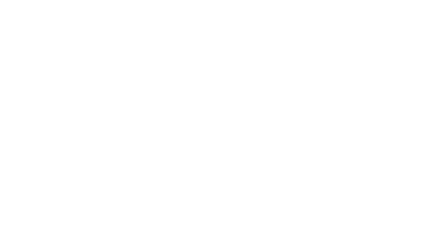 Brazen Traveler